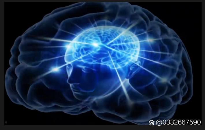 独立电影人的春天：低成本佳作频现 - 相关资讯封面